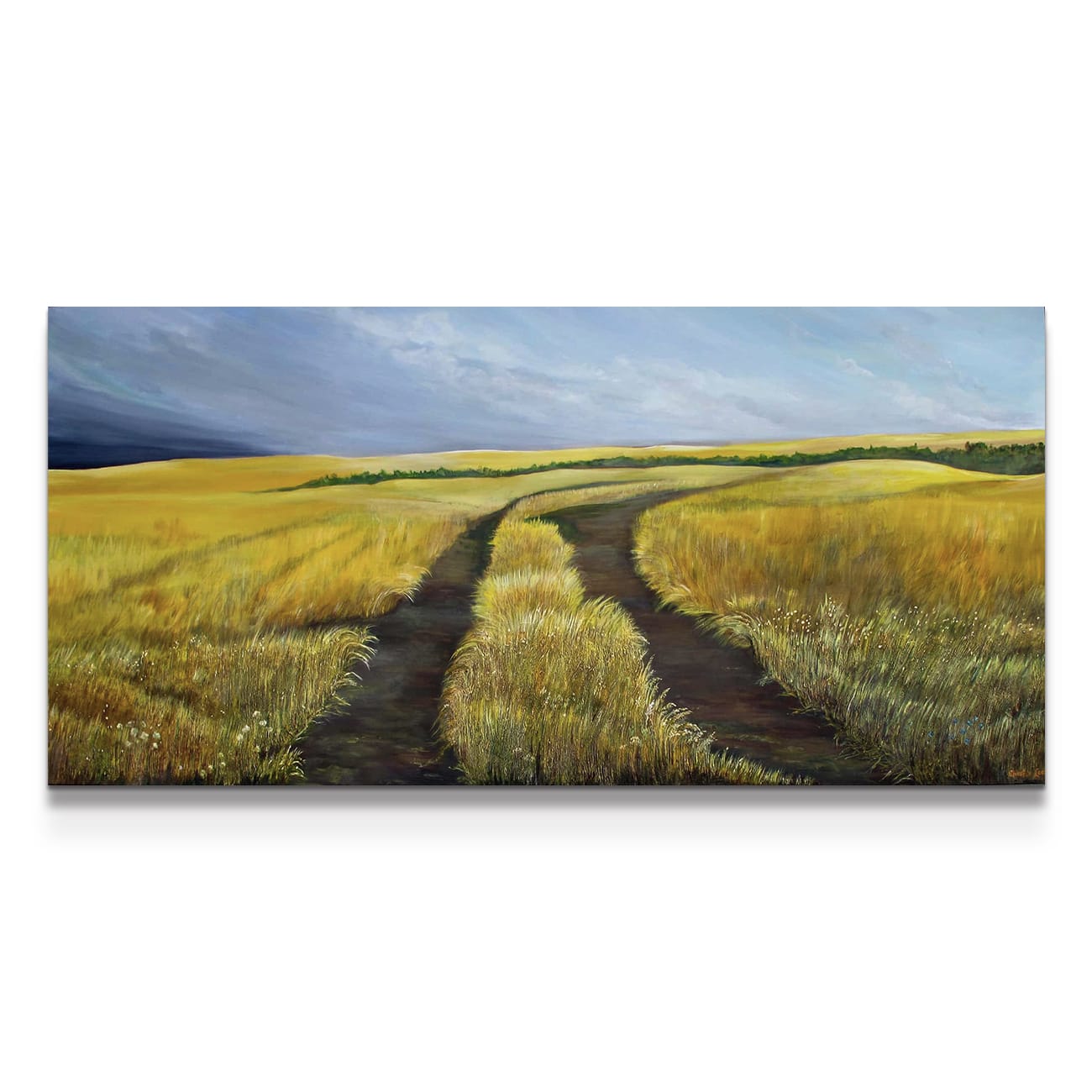 painting on white background