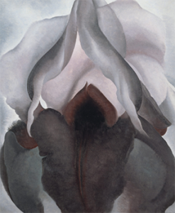 black iris - georgia o'keefe