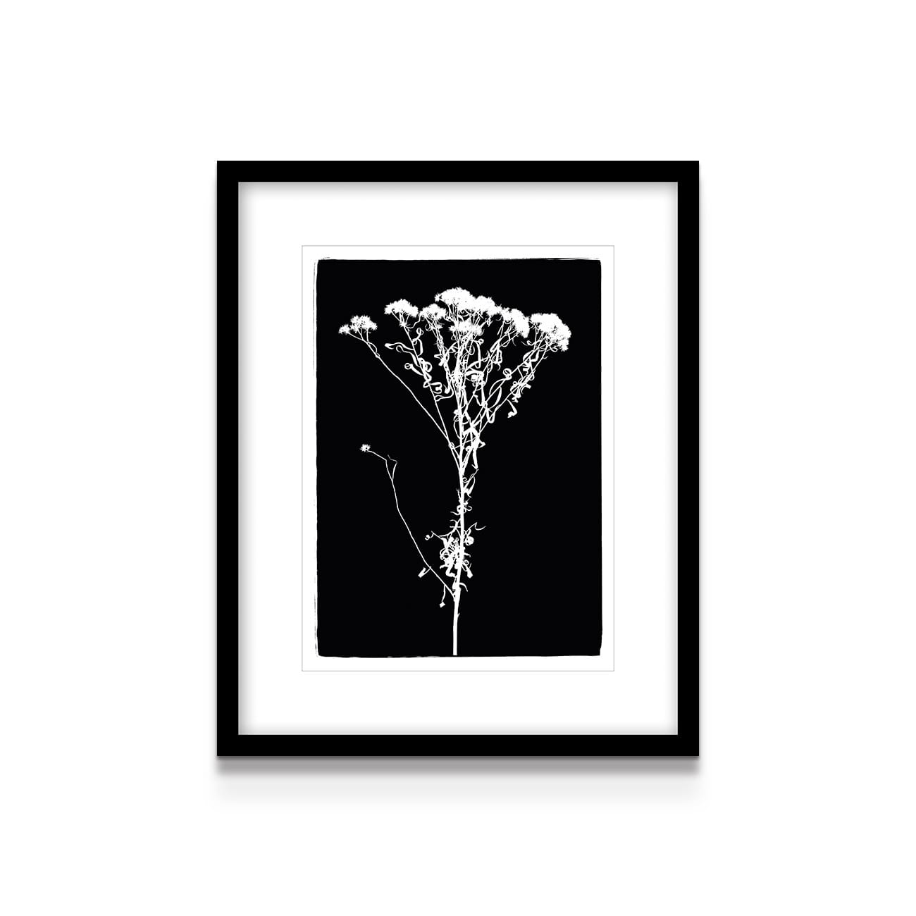 painting on white background