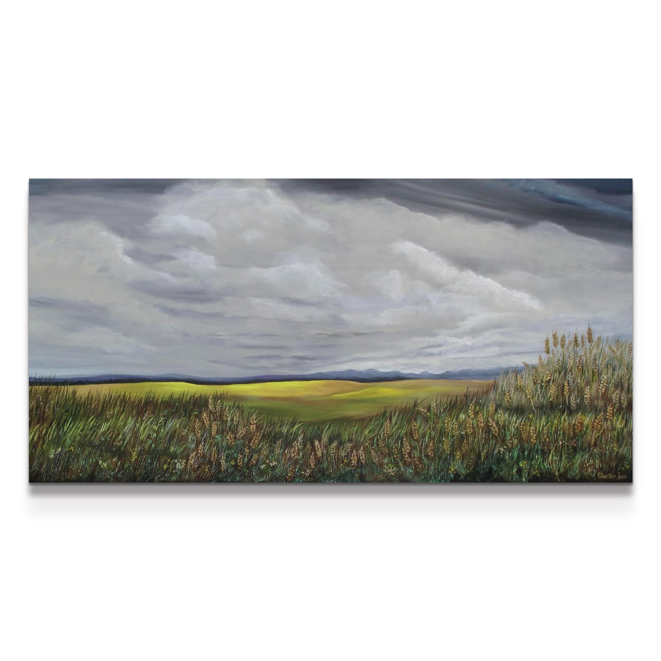 painting on white background