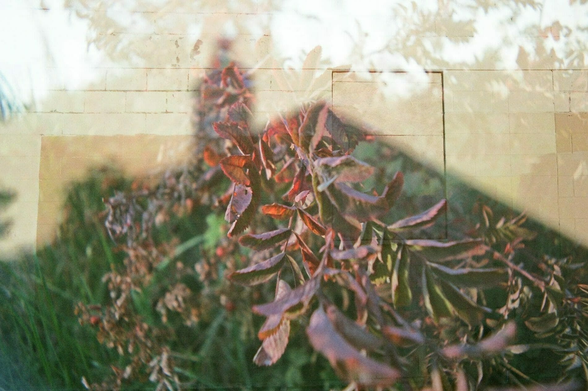 artwork close-up