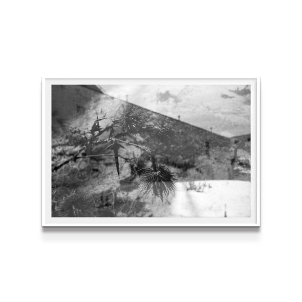 artwork on white background