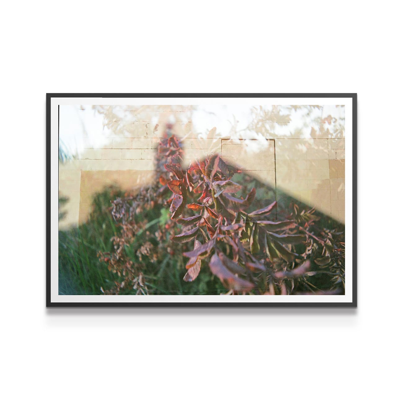 artwork on white background