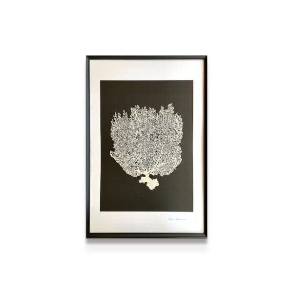 artwork on white background