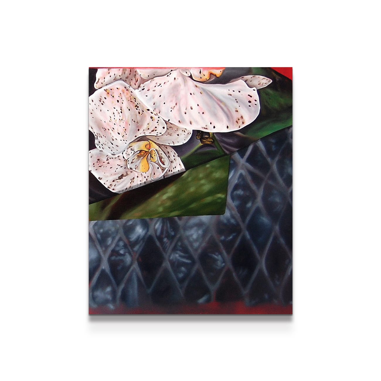 painting on white background