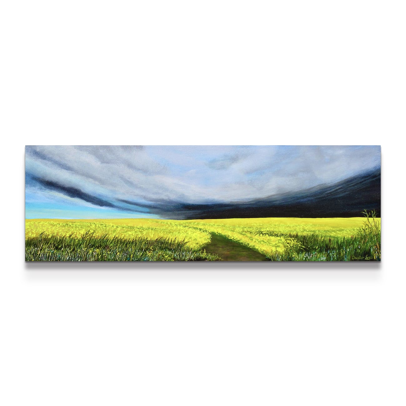 painting on white background