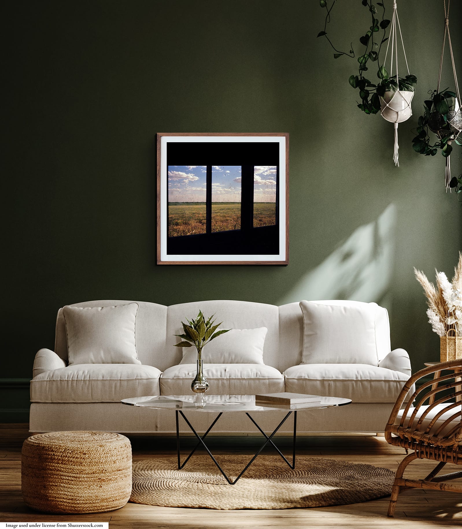 photograph in interior