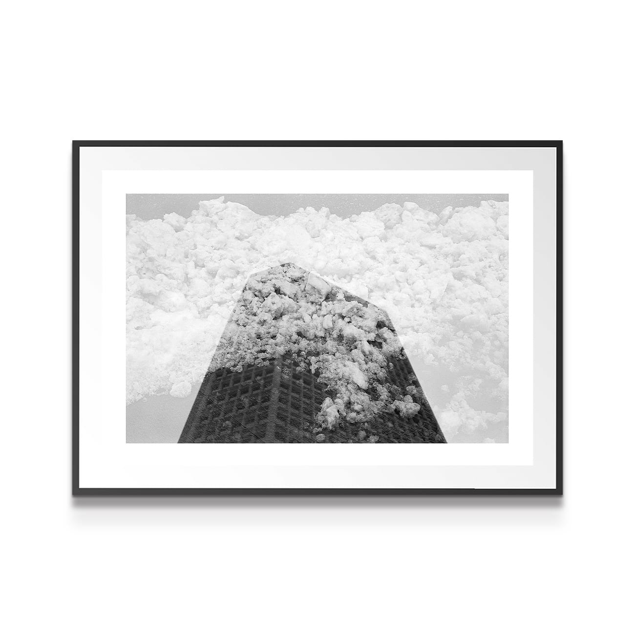 photograph on white background