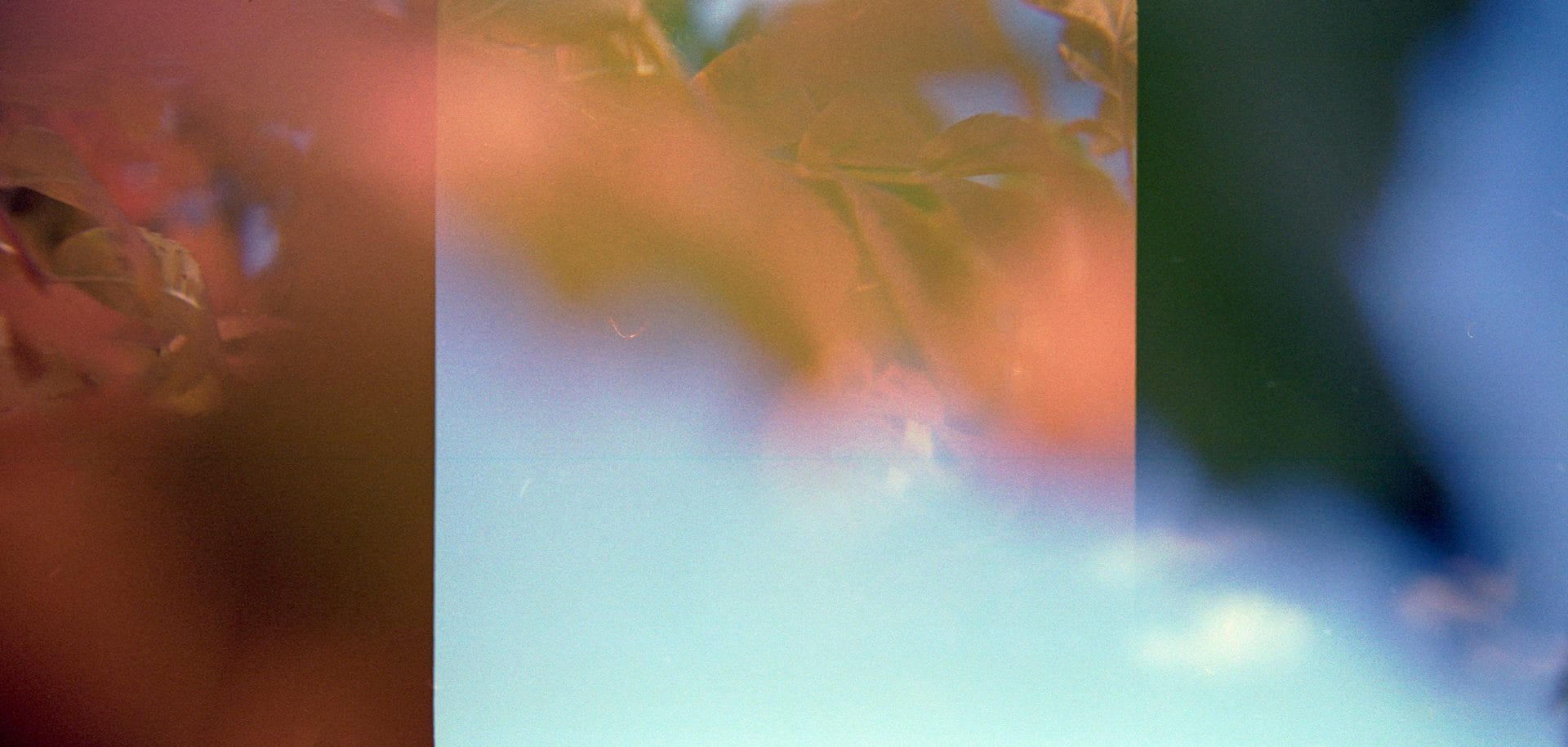 photograph close up