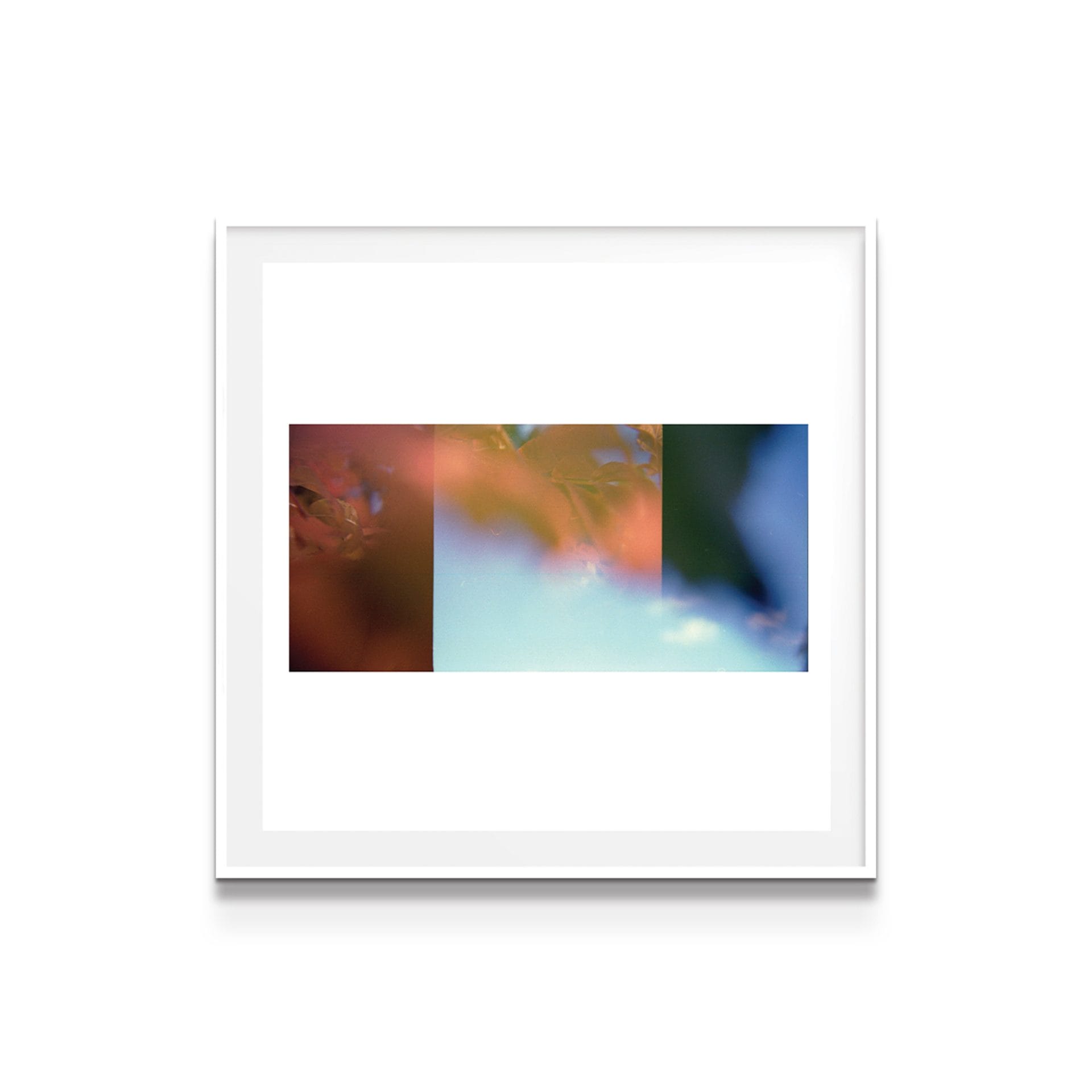 print on white background