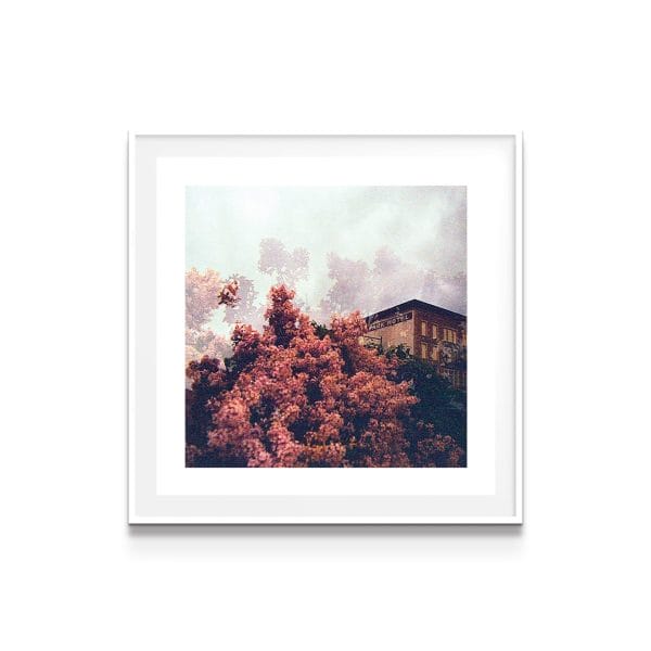 print on white background