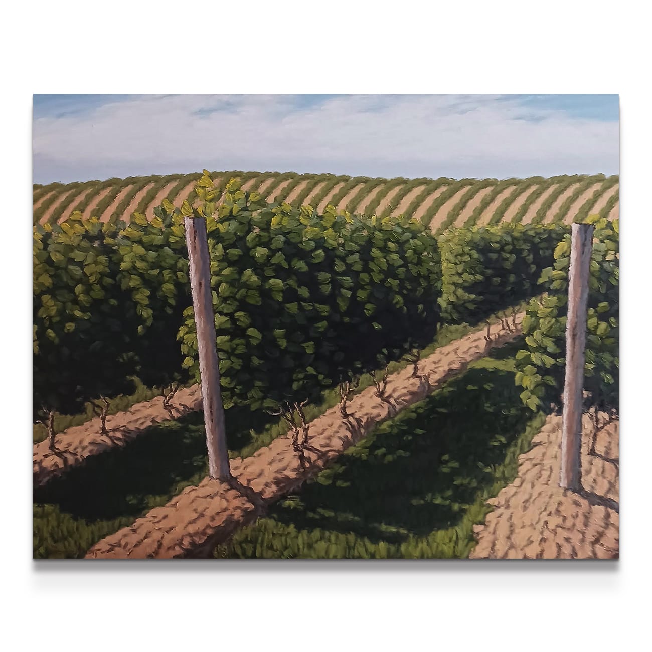 painting on white background