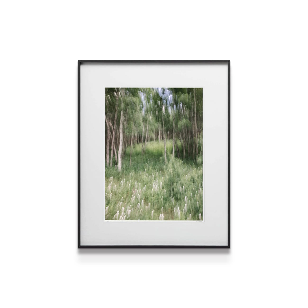 painting on white background